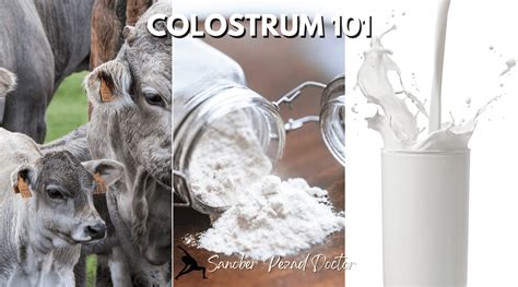 Colostrum: What Is It, Benefits & What To Expect